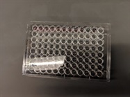 Propidium Iodide Staining for Flow Cytometry