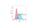 Cell Surface Analysis of Integrin Beta 1