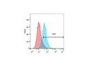 Analysis of Integrin Beta 3 Chain
