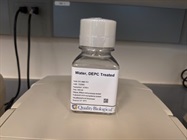 Great and Clean DEPC Treated H2O