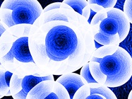 Target Identification and Drug Discovery with CRISPR