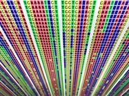 Genotyping Tools Informing Pharmacogenomics