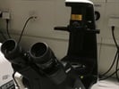Easy and Quick Visualization of Cells in Routine Cell Culture (Nikon)
