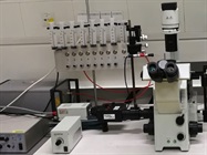 Inverted Microscope for Fluorescence Imaging from Olympus