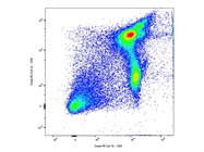 BioLegend PE/Cy5 Anti-Mouse CD8a Antibody Works Well