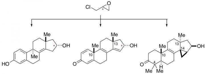 drug development
