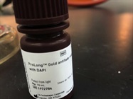 Liquid Mountant Applied for Fluorescent Microscope Sample Slides (Thermo)