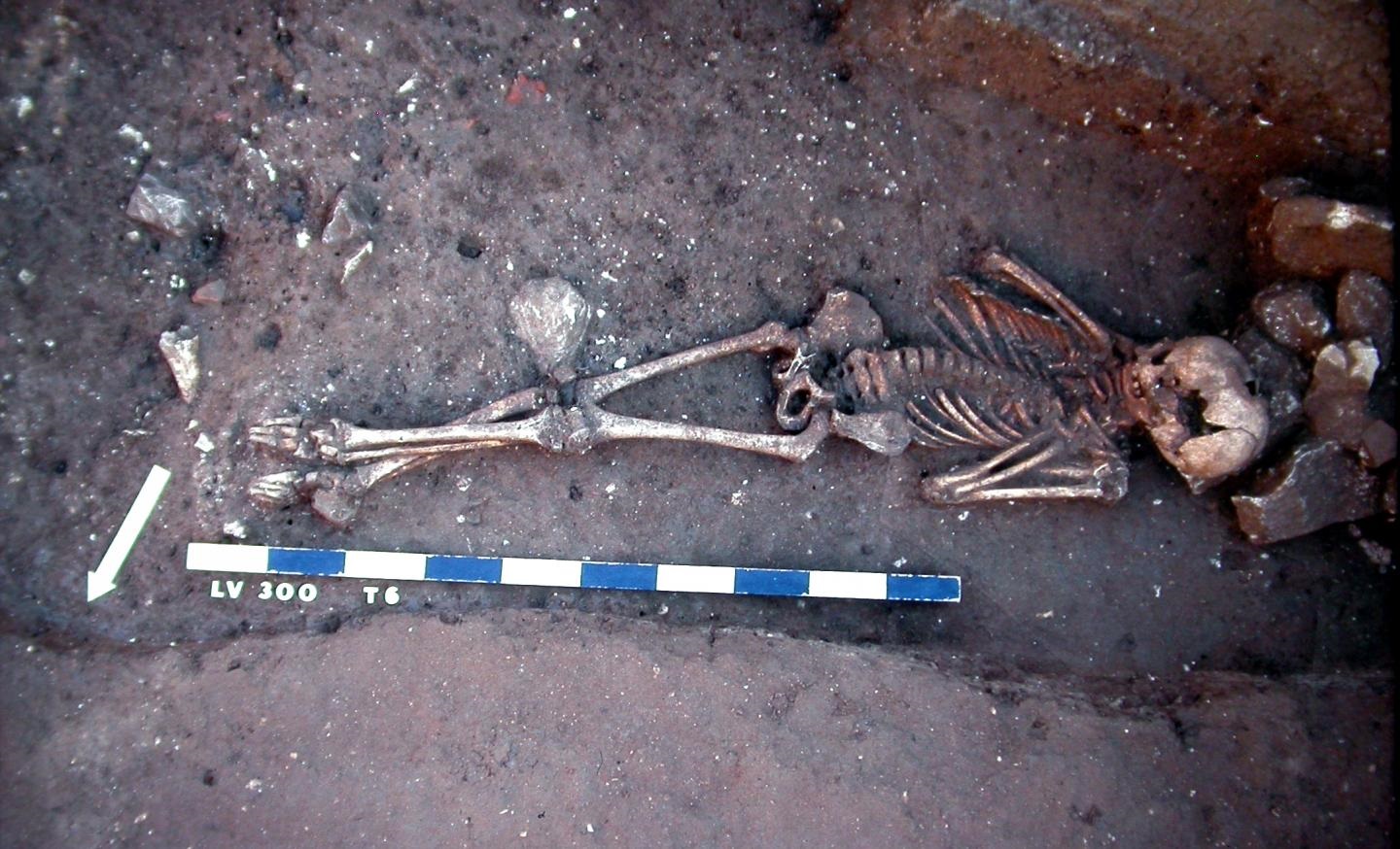 Justinian Plague