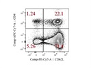 Good PE/Cy7 Anti-Mouse CD62L Antibody from Biolegend