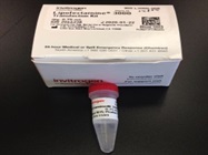 Superior Quality Lipofectamine Transfection Reagent