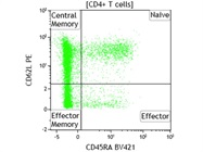 Anti-Human CD62L Antibody from BioLegend Works Well