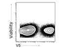 Fantastic Antibody to Detect V5-Tagged Recombinant Proteins (Thermo)