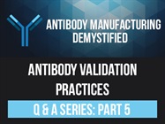 Q&A Part 5: Antibody Validation Practices