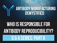 Q&A Part 6: Who Is Responsible for Antibody Reproducibility?