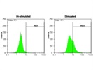 Good Biotinylated CD11c Monoclonal Antibody from Thermo