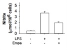 Elevation of Nitrite Levels in LPS-Treated Macrophages