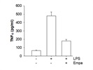 TNFa Production and Release in Response to LPS