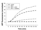 Inhibition of Myeloperoxidase Activity by SIN-1