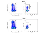 Intracellular Flow Cytometry for Detection of FOXP3+ CD4+ T Cells