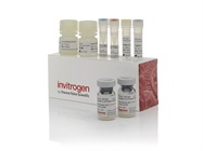 EGF Human ProQuantum Immunoassay Kit