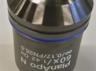Oil Objective for Brightfield and Fluorescence Microscopy from Thermo