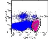 Excellent Dye to Stain Dead Cells During Flow Cytometry (Thermo)