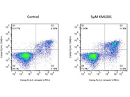 BD Annexin V Apoptosis Detection Kit Works well!