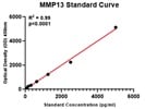 Assessing MMP13 in Cell Culture Supernatants