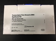 Very Good Transcriptor Reverse Transcriptase