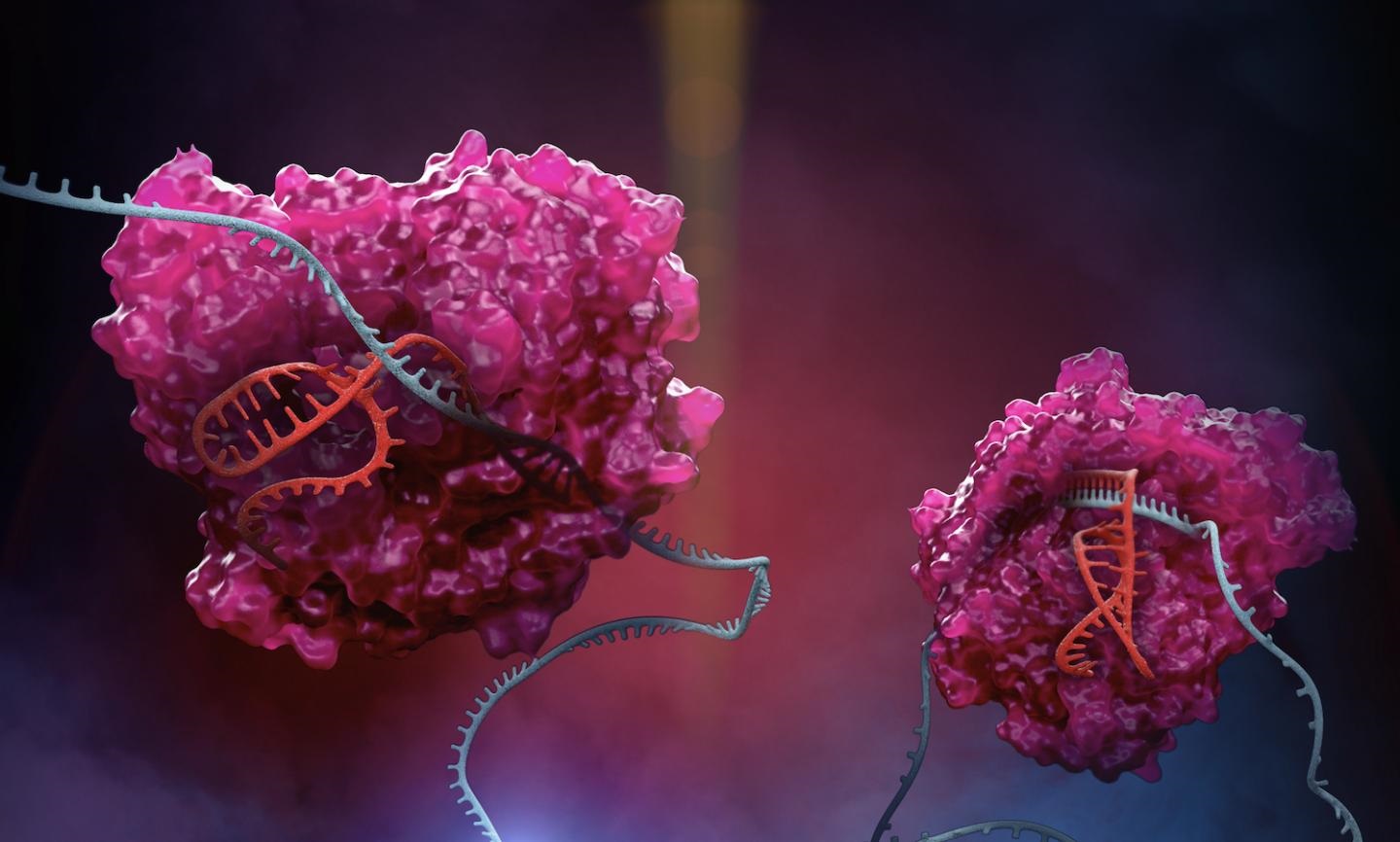 rna editing