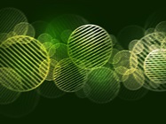 Cell Cycle Analysis: Flow vs Imaging Cytometry