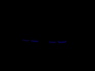 Very Good Beta-Actin Antibody from CST