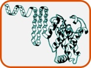 Crystallization Grade Proteins for Pharma & Kit Manufacturing