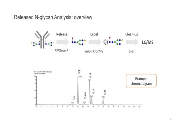 N-glycan