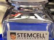 Convert Tissue-Cultured Treated Conditions to Ultra-Low Attachment Conditions with Anti-Adherence Rinsing Solution