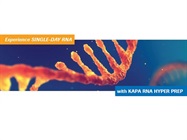 Purchase a 24-reaction kit for 50% off*