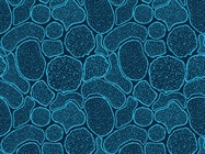 Troubleshooting Guide: Flow Cytometry Sample Prep