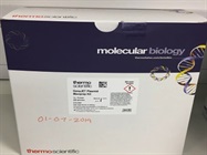 Large-Scale Plasmid Purification from GeneJET Plasmid Midiprep Kit