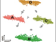 Enhance Your Single-Cell Data with Combined Protein and RNA Analysis
