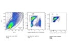Very Good Anti-Mouse CD11b from BioLegend