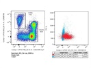 Not Very Good Anti-CD3 Antibody