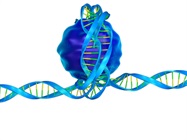 Clinical Applications of Epigenetics