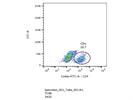 Review of Anti-Mouse CD4 (BioLegend)