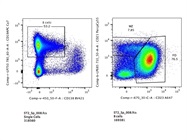 Good Option to Stain Mouse CD21/35 (BioLegend)