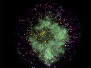 Super Resolution Microscopy Use Burgeoning