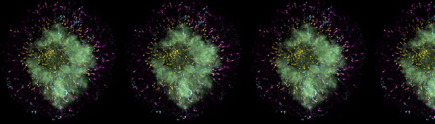  Super Resolution Microscopy Use Burgeoning