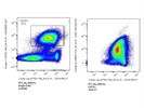 Very Good Anti-CD24 Antibody from BioLegend