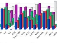 Why You Should Be Using Multiplex Immunoassays