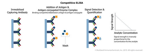 elisa