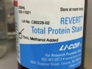 I Use This Li-Cor Stain Kit for Total Protein Level Quantificiation